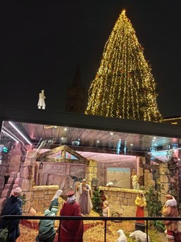 Nativity and Christmas Tree in Piazza Saffi in Forlì.