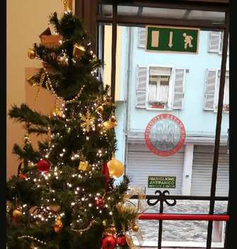 Christmas Tree at Dilan's Department