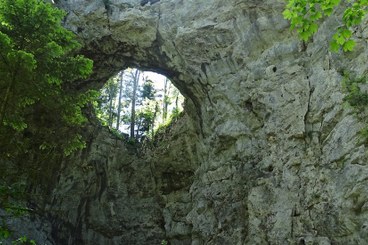 ambiente con rocce e verde
